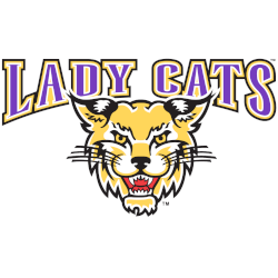 Western Carolina Catamounts Alternate Logo 2003 - 2008